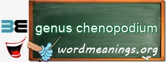 WordMeaning blackboard for genus chenopodium